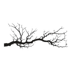 Tree Branch Illustration