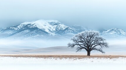 Lone frosted tree in snowy field with misty mountains.