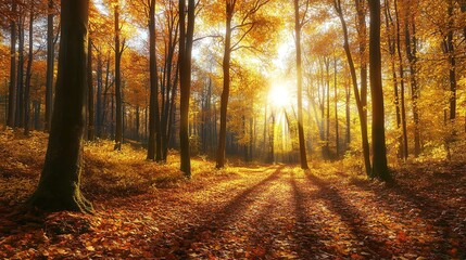 Fototapeta premium Panoramic Sunny Forest in Autumn 16K Resolution Ultra