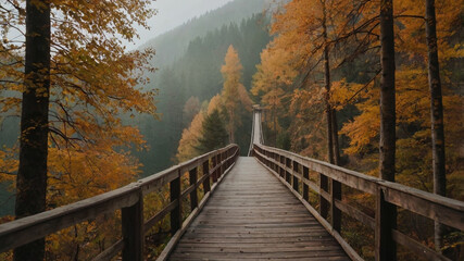 Fototapeta premium bridge over the river