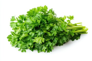 A bunch of fresh parsley leaves with vibrant green color, isolated on white