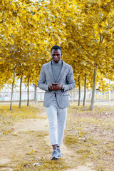 Portrait of an elegant and handsome black businessman using a smartphone in a golden trees park during autumn