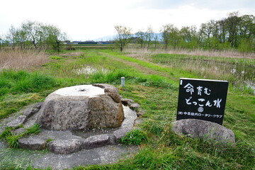 どっこん水（新潟県）