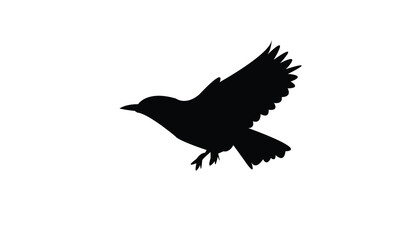 Flying Longclaw Bird Silhouette Design  And Vector Illustration. 