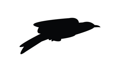 Flying Longclaw Bird Silhouette Design  And Vector Illustration. 