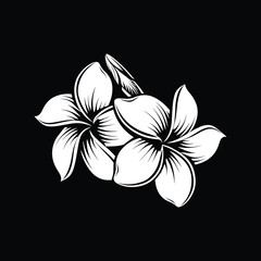 Obraz premium Floral Flower with leaf