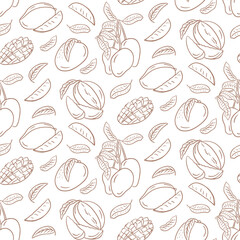 Seamless pattern with doodle outline mango illustrations and leaves in minimalist line art style isolated on white background. Vector doodle illustration for vegan concepts