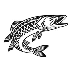 Chain Pickerel Fish Vector Art and Illustration
