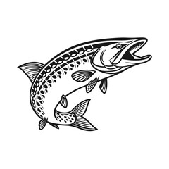 Chain Pickerel Fish Vector Art and Illustration