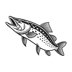 Chain Pickerel Fish Vector Art and Illustration