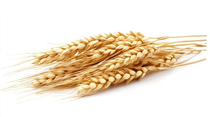 Isolated Pile of Barley Seeds on a White Background: A Symbol of Agriculture and Cereal Grain