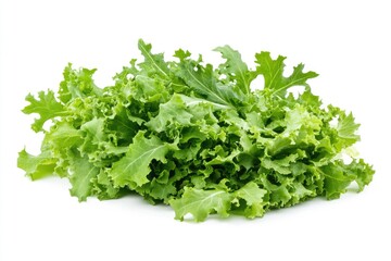 Fototapeta premium Vibrant Green Leaf Lettuce. Close-Up of Fresh Organic Leaves Perfect for Healthy Salads