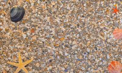 Sable de mer et coquillages pour création de fond et arrière plan.