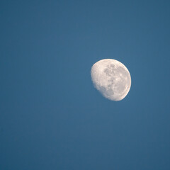 A white half-moon floats in a serene blue sky, its surface etched with delicate craters. The sun’s gentle light casts subtle shadows, highlighting the moon’s rugged beauty against the day’s calm expan