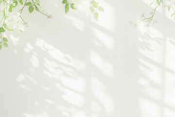 シンプルな白い壁と葉っぱ