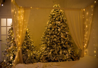 christmas tree in the night in bedroom with curtains