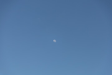 moon in the sky