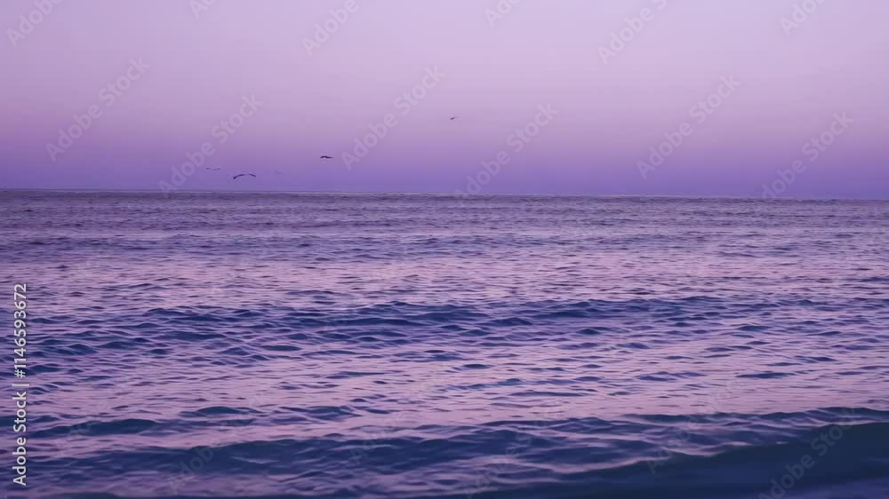 Poster sunset over calm ocean with flying birds creating a serene coastal atmosphere