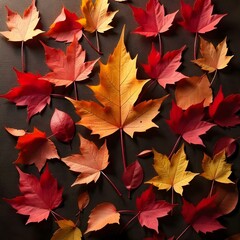 Fototapeta premium autumn fall leaves background