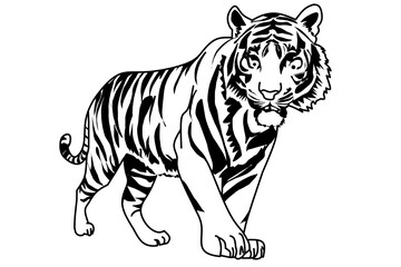 Illustration of a fierce tiger in black and white line art, showcasing the wild beauty and strength of the king of the jungle. Perfect for coloring pages, tattoos, or wildlife designs.