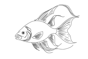 Detailed black-and-white line art of a fish with intricate fins and scales. Perfect for coloring pages, educational materials, marine designs, and children's creative projects.