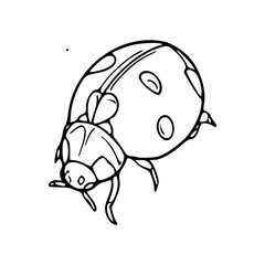 a line art drawing of a bug illustration