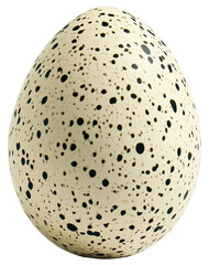 Close-Up View of a Beautifully Speckled Egg isolated on transparent background.