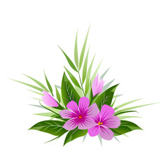 pink flower on white background