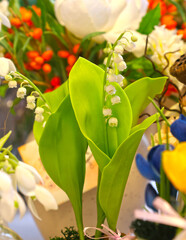 Original flowers made of polymer clay. The most realistic display. Soft focus. Close-up.