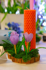 Original flowers made of polymer clay. The most realistic display. Soft focus. Close-up.