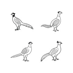 A Pheasant standing Silhouette Illustration