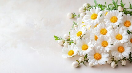 Obraz premium Fresh bouquet of white daisy flowers with yellow centers on a light beige textured background.