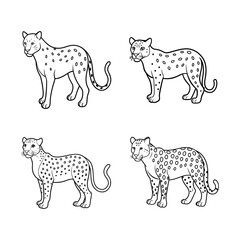 Jaguar Line Art Vector Illustration
