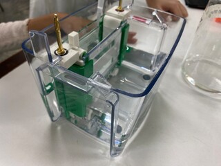 protein and dna size separation apparatus, sds page, purity analysis of pooled fraction, protein solution extraction, agarose gel, biochemistry.