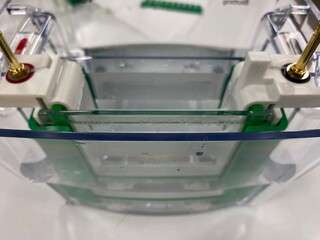 protein and dna size separation apparatus, sds page, purity analysis of pooled fraction, protein solution extraction, agarose gel, biochemistry.