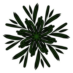 Classic and dynamic mandalas