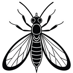 Mayfly insect flat vector illustration on white background