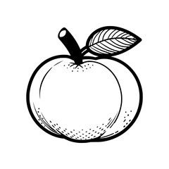  an orange item vector icon