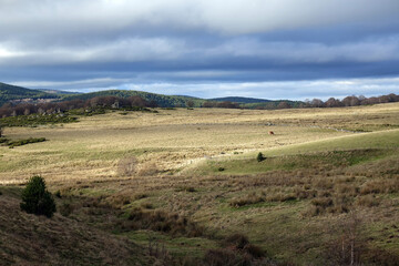 Fototapeta premium Randonnée automnale en Lozère en France aux alentours du Malzieu-Forain