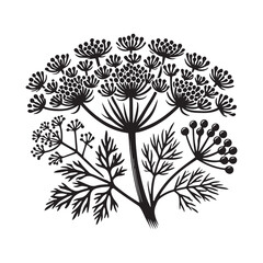 Fennel Silhouette Vector Illustration, Solid White Background.