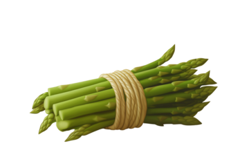 A bundle of fresh green asparagus, isolated on a light brown background, photorealistic and sharp.