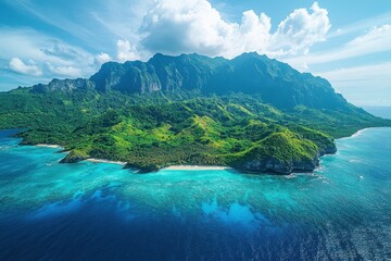 Aerial View of Lush Tropical Island Landscape