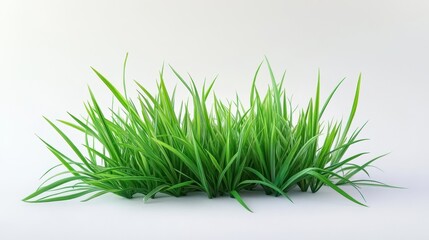 Lush Green Grass in a Bright Setting