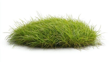 Lush Green Grass Patch for Natural Settings