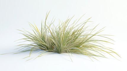 Lush Green Grass Blades on Light Background