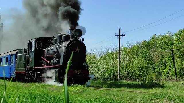Steam locomotive on a meadow in summer.