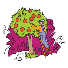 Farmer on ladder hand picking red apples harvesting fruit tree in orchard isometric isolated composition vector