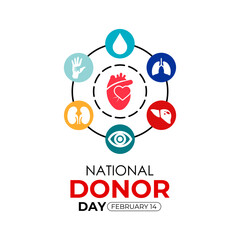 Vector graphic of on the theme of National Organ Donor day observed each year on February 14th. Organ, eye and tissue donation. Banner poster, flyer and background design template. Vector illustration