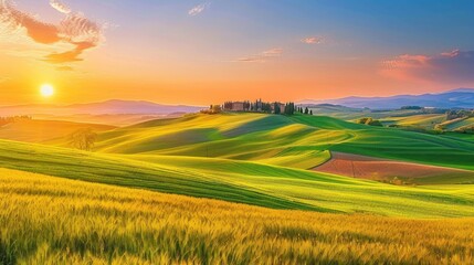 Obraz premium Tuscan Sunrise: Rolling Hills and Golden Wheat Fields