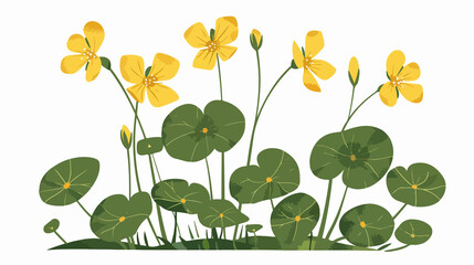 Vibrant Marsh Marigold Flowering Plant in Full Bloom